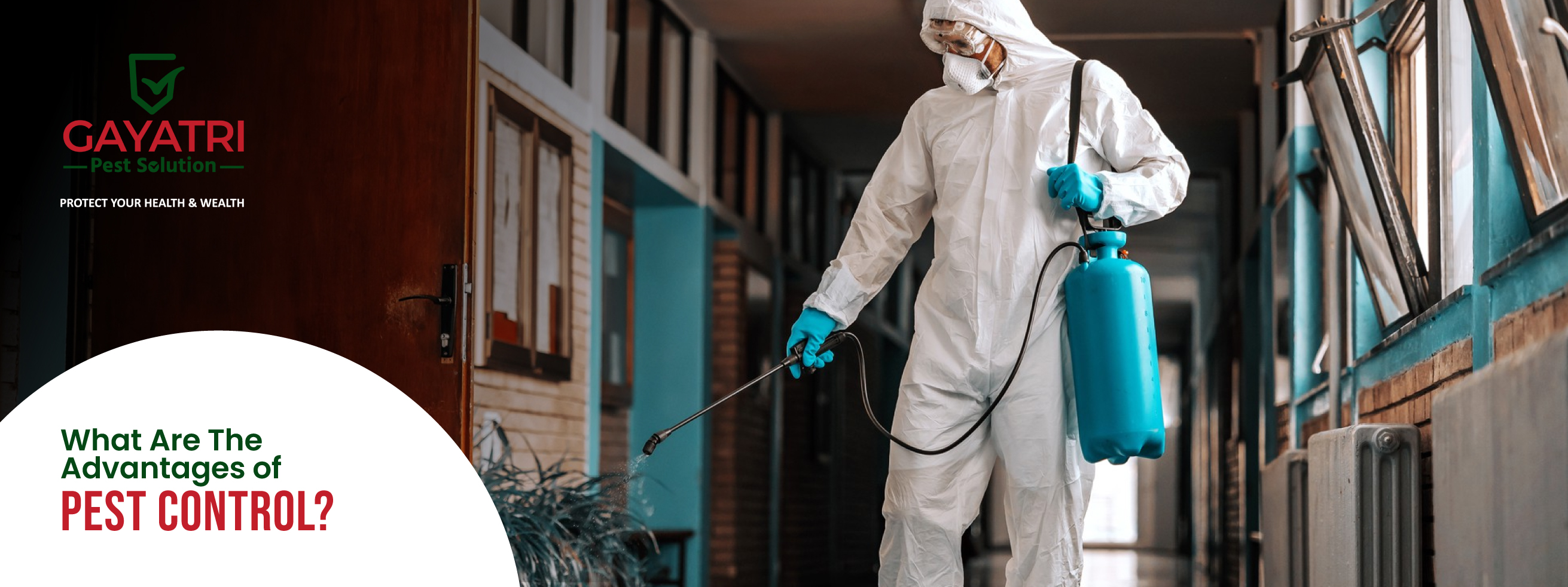 Advantages of Pest Control
