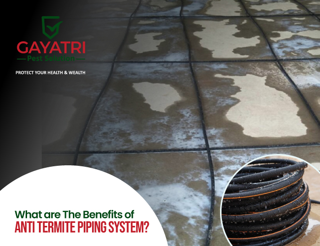Anti Termite Piping System