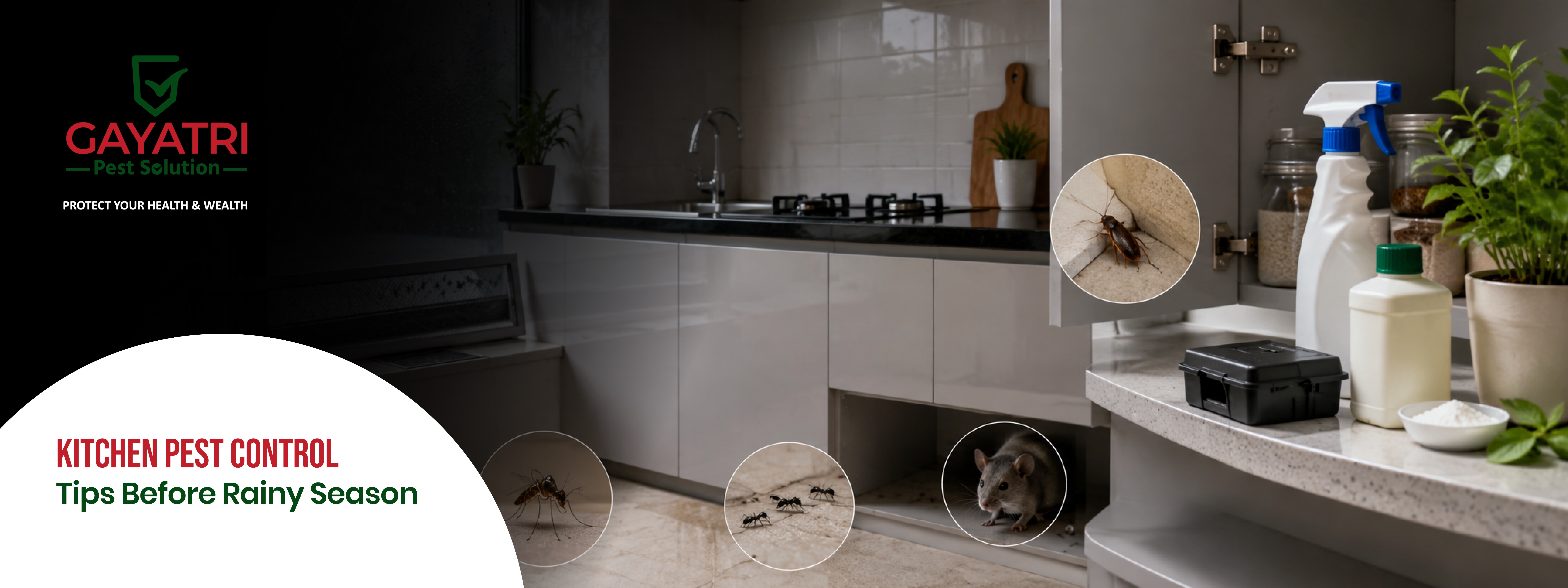 Kitchen Pest Control Tips Before the Rainy Season