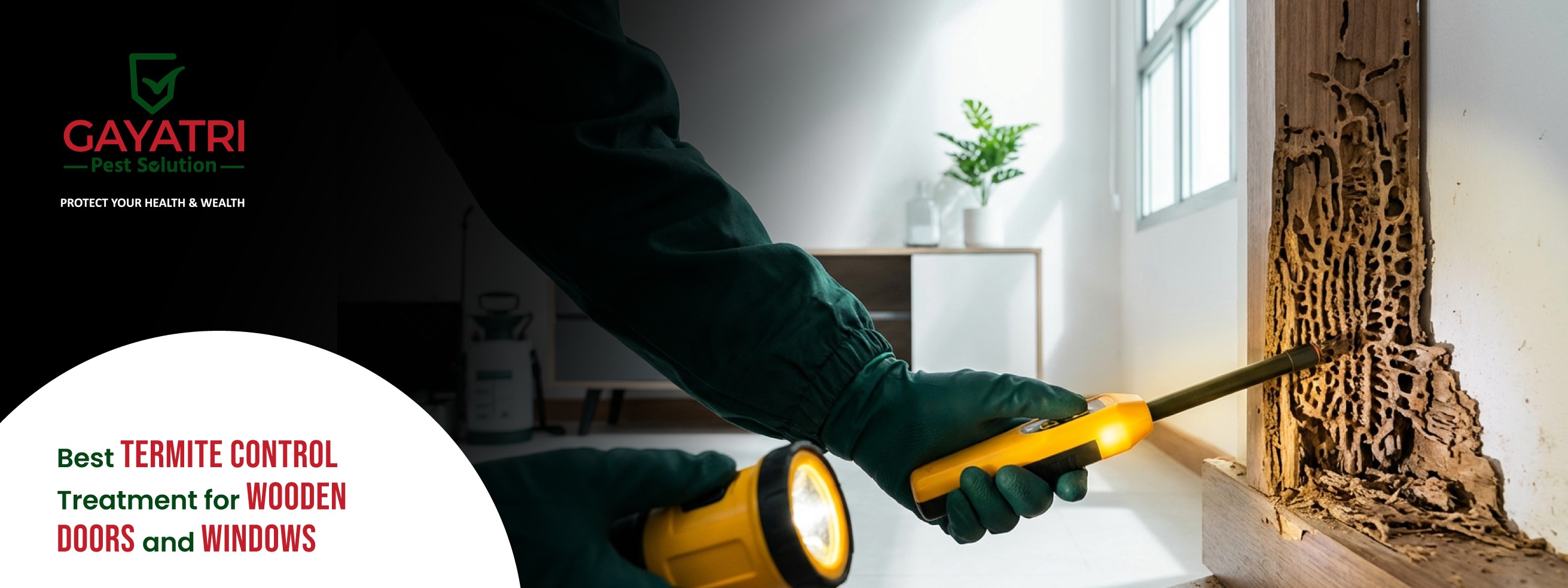 Termite Control Treatment