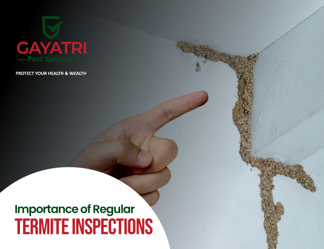 Importance of Regular Termite Inspections