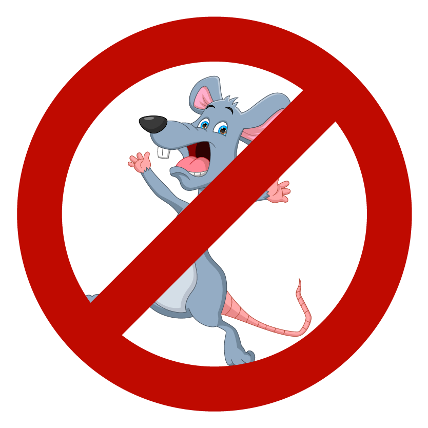 Effective Pest Control Service in Ahmedabad