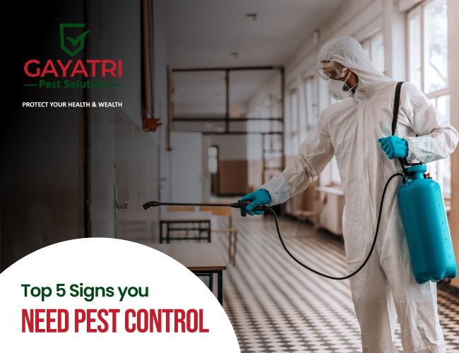 Pest Control